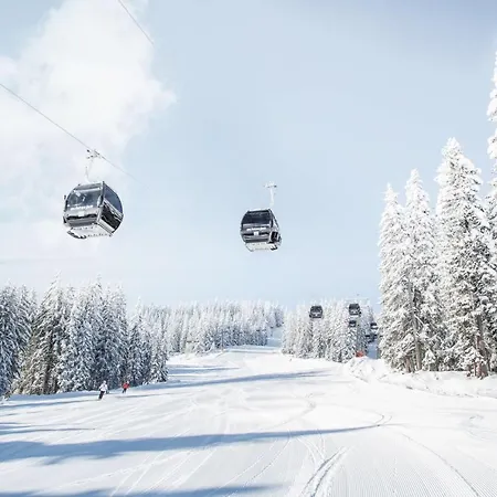 Hotel Alpines Lifestyle Tannenhof