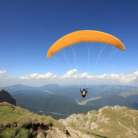Alpines Lifestyle Tannenhof